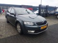 SKODA OCTAVIA 1.6 TDI GREENLINE, Baja Auto's B.V., Losser