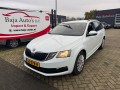 SKODA OCTAVIA 1.6 TDI GRT AMBITION, Baja Auto's B.V., Losser