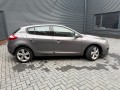 RENAULT MEGANE 1.2 TCe Collection, Reinman Auto's, Wierden