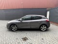 RENAULT MEGANE 1.2 TCe Collection, Reinman Auto's, Wierden