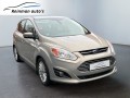 FORD C-MAX Ford C-Max 2.0 Plug-in Hybrid Titanium Plus 1e eigenaar, Reinman Auto's, Wierden