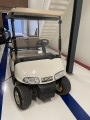 Overige EZGO Golf Cart , Mancave International B.V., s' Heerenbergh